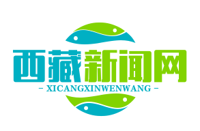 吉隆县中尼边境智慧口岸正式启用，通关效率大幅提升，通关时间压缩至30分钟
