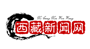 吉隆县中尼边境智慧口岸正式启用，通关效率大幅提升，通关时间压缩至30分钟