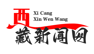 吉隆县中尼边境智慧口岸正式启用，通关效率大幅提升，通关时间压缩至30分钟